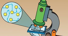 Chuyển động Brown có thể được quan sát thông qua kính hiển vi.