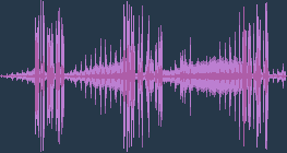 chim két thông thường