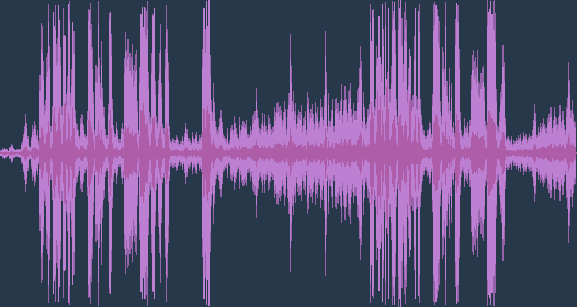 Chim hoét đá phổ biến