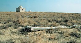 Khu vực bán khô cằn ở Trung Á