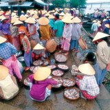 Chợ cá ở việt nam