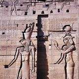 Cứu trợ Ai Cập