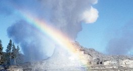Geyser trong Công viên quốc gia Yellowstone