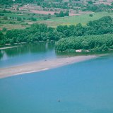 Rạn san hô ở sông Danube