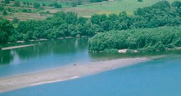 Rạn san hô ở sông Danube