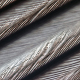 Cấu trúc mịn của lông chim với xà đơn lồng vào nhau