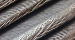 Cấu trúc mịn của lông chim với xà đơn lồng vào nhau