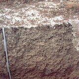 Hồ sơ đất mặn