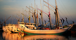 Schooners ở Indonesia