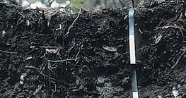 Mặt cắt ngang của lớp đất đá