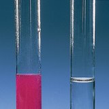 Phản ứng canxi và đồng với nước