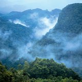 Rừng mưa nhiệt đới ở Trung Mỹ