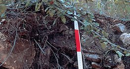 Phần của lithosoil