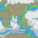 Thành phần dinh dưỡng của nước