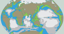 Thành phần dinh dưỡng của nước
