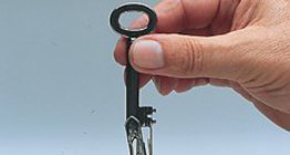 Sắt có thể được từ hóa bởi từ trường của nam châm.