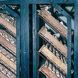 Trứng trong máy ấp trứng