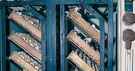 Trứng trong máy ấp trứng