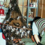 Nuốt chuông bắt trong mạng