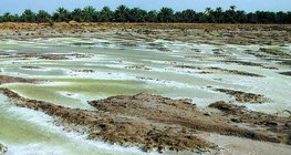 Giường muối hình thành do bốc hơi các hồ tuần hoàn