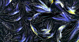 Tinh thể glycine (axit amin)