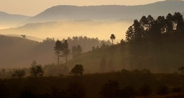 Sương mù buổi sáng