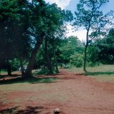 Đất đá ong ở Mexico