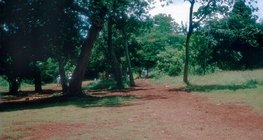 Đất đá ong ở Mexico