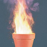 Phản ứng oxi hóa khứ