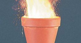 Phản ứng oxi hóa khứ