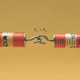 Hai vảy lò xo cho thấy lực bằng nhau khi kéo ra xa nhau