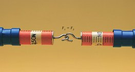 Hai vảy lò xo cho thấy lực bằng nhau khi kéo ra xa nhau