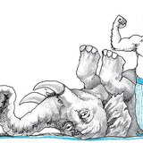 Demirhám az ököllel agyonvert elefánt előtt