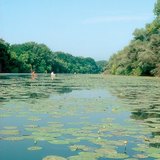 Một trong những nước ngầm của sông Tisza