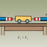 Lực lượng ảnh hưởng đến cơ thể khi nghỉ ngơi