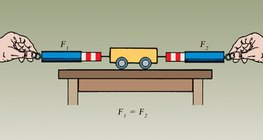 Lực lượng ảnh hưởng đến cơ thể khi nghỉ ngơi