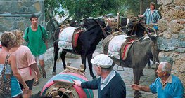 Taxi đứng' trên đảo Rhodes