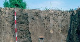 Hồ sơ của chernozem