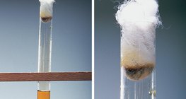 Nước brom phản ứng với kali iodua