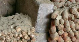 Bảo quản rau củ