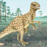 Khủng long thời kỳ kỷ Jura