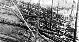 Hậu quả của sự kiện Tunguska năm 1908