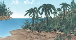 Hệ thực vật thời kỳ kỷ Jura