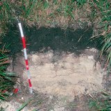 Hồ sơ của đất đá