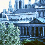 Tòa thị chính Vienna