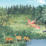 Cuộc sống trong Miocene