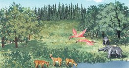 Cuộc sống trong Miocene