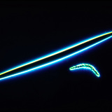 Bọt biển lacustris