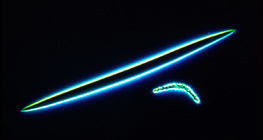 Bọt biển lacustris