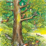 Động vật rừng